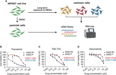 Concurrent inhibition of FAK/SRC and MEK overcomes MEK inhibitor resistance in Neurofibromatosis Type I related malignant peripheral nerve sheath tumors